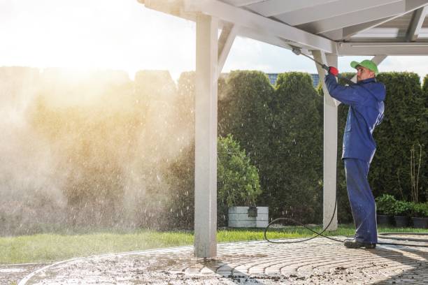Best Gutter Cleaning  in La Junta, CO