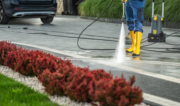 Best Driveway Pressure Washing  in La Junta, CO